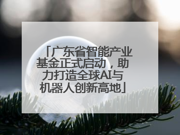 广东省智能产业基金正式启动，助力打造全球AI与机器人创新高地
