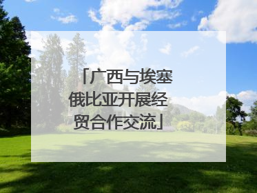 广西与埃塞俄比亚开展经贸合作交流