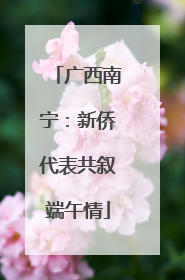 广西南宁：新侨代表共叙端午情
