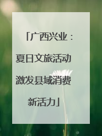 广西兴业：夏日文旅活动激发县域消费新活力