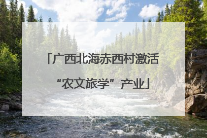 广西北海赤西村激活“农文旅学”产业
