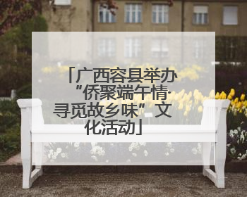 广西容县举办“侨聚端午情·寻觅故乡味”文化活动