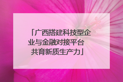 广西搭建科技型企业与金融对接平台 共育新质生产力