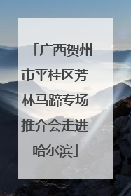 广西贺州市平桂区芳林马蹄专场推介会走进哈尔滨