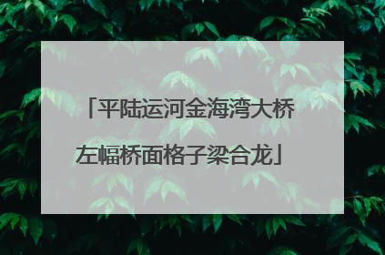 平陆运河金海湾大桥左幅桥面格子梁合龙