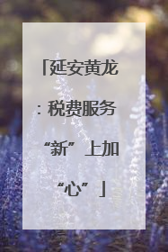 延安黄龙：税费服务“新”上加“心”