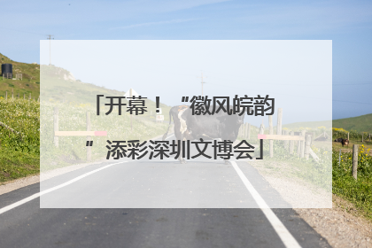 开幕！“徽风皖韵”添彩深圳文博会