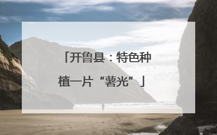 开鲁县：特色种植一片“薯光”