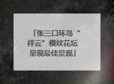 张三口环岛“祥云”模纹花坛呈现最佳景观