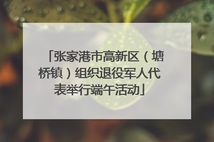 张家港市高新区（塘桥镇）组织退役军人代表举行端午活动