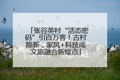 张谷英村“活态密码”引百万客！古村焕新，家风+科技成文旅融合新爆点
