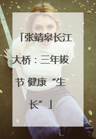 张靖皋长江大桥：三年拔节 健康“生长”
