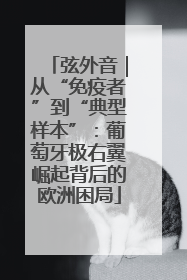 弦外音｜从“免疫者”到“典型样本”：葡萄牙极右翼崛起背后的欧洲困局