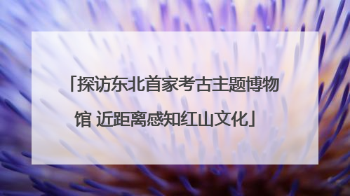 探访东北首家考古主题博物馆 近距离感知红山文化