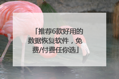 推荐6款好用的数据恢复软件，免费/付费任你选