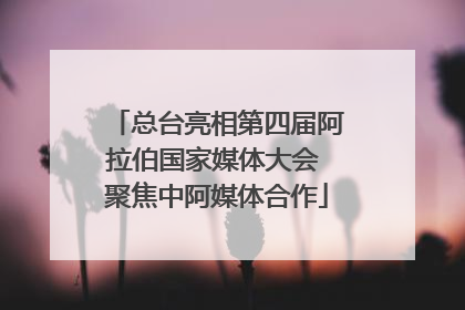 总台亮相第四届阿拉伯国家媒体大会 聚焦中阿媒体合作