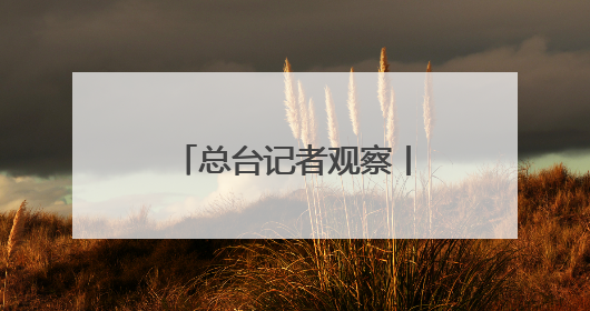 总台记者观察丨北约防长会拟加大防务投入 欧洲内部分歧难掩