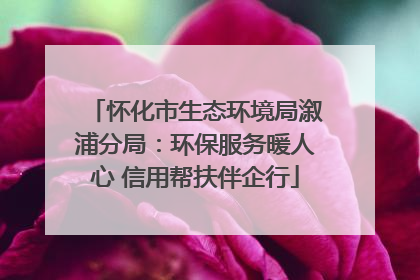 怀化市生态环境局溆浦分局：环保服务暖人心 信用帮扶伴企行