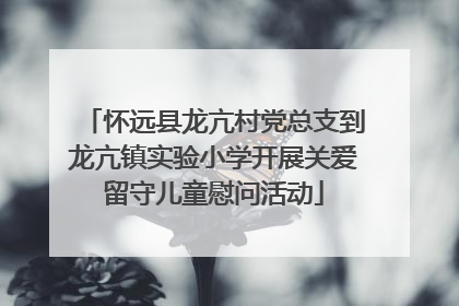 怀远县龙亢村党总支到龙亢镇实验小学开展关爱留守儿童慰问活动