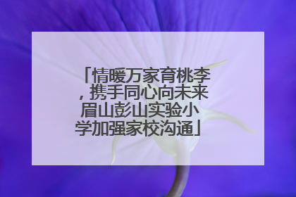 情暖万家育桃李，携手同心向未来 眉山彭山实验小学加强家校沟通