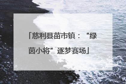 慈利县苗市镇：“绿茵小将”逐梦赛场