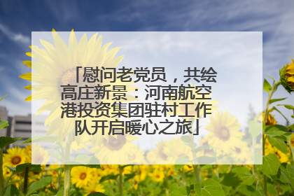 慰问老党员，共绘高庄新景：河南航空港投资集团驻村工作队开启暖心之旅