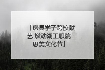 房县学子跨校献艺 燃动湖工职院思美文化节