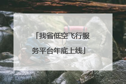 我省低空飞行服务平台年底上线