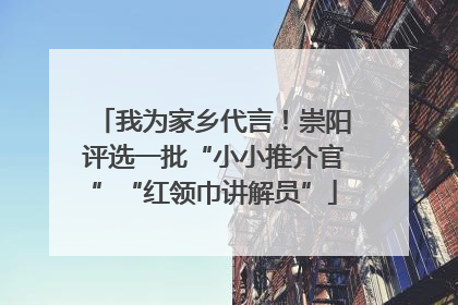 我为家乡代言！崇阳评选一批“小小推介官”“红领巾讲解员”