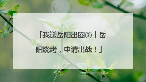 我送岳阳出圈③丨岳阳烧烤，申请出战！