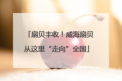 扇贝丰收！威海扇贝从这里“走向”全国