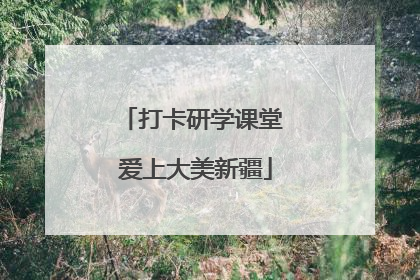 打卡研学课堂 爱上大美新疆