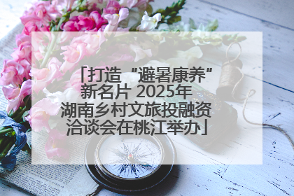 打造“避暑康养”新名片 2025年湖南乡村文旅投融资洽谈会在桃江举办