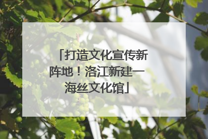 打造文化宣传新阵地！洛江新建一海丝文化馆