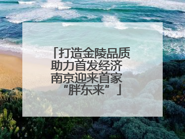 打造金陵品质 助力首发经济 南京迎来首家“胖东来”