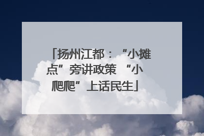 扬州江都：“小摊点”旁讲政策 “小爬爬”上话民生