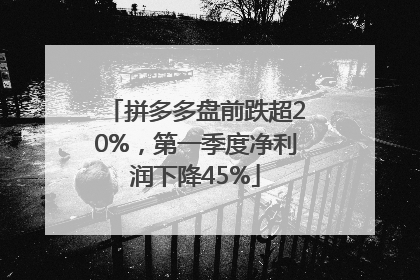 拼多多盘前跌超20%，第一季度净利润下降45%
