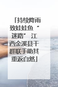 持续降雨致娃娃鱼“迷路” 江西金溪县干群联手助其重返自然