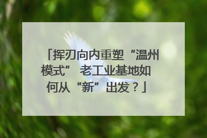 挥刃向内重塑“温州模式” 老工业基地如何从“新”出发？