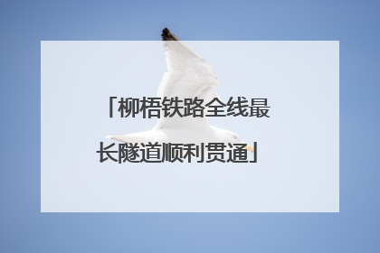 柳梧铁路全线最长隧道顺利贯通