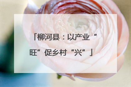 柳河县：以产业“旺”促乡村“兴”