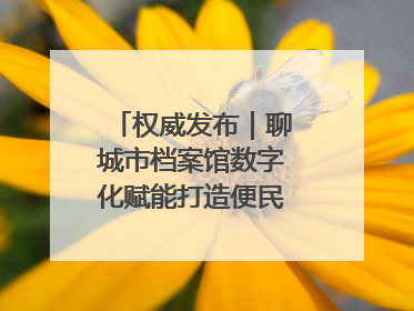 权威发布｜聊城市档案馆数字化赋能打造便民服务新模式