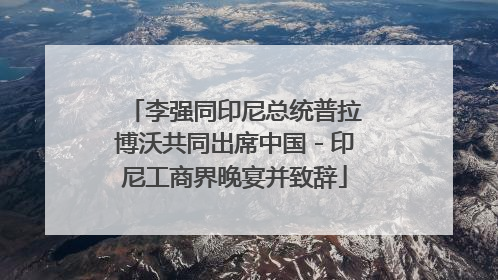 李强同印尼总统普拉博沃共同出席中国－印尼工商界晚宴并致辞