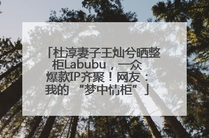 杜淳妻子王灿兮晒整柜Labubu，一众爆款IP齐聚！网友：我的 “梦中情柜”