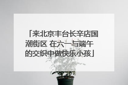 来北京丰台长辛店国潮街区 在六一与端午的交织中做快乐小孩