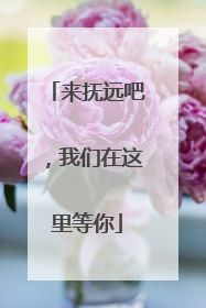 来抚远吧，我们在这里等你