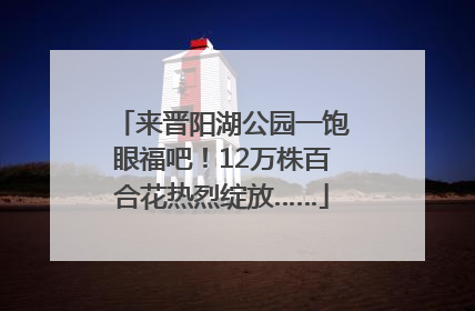 来晋阳湖公园一饱眼福吧！12万株百合花热烈绽放……