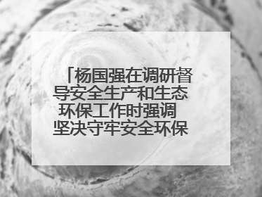 杨国强在调研督导安全生产和生态环保工作时强调 坚决守牢安全环保底线红线 为全市经济社会高质量发展提供坚强保障