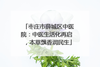 枣庄市薛城区中医院：中医生活化再启，本草飘香润民生