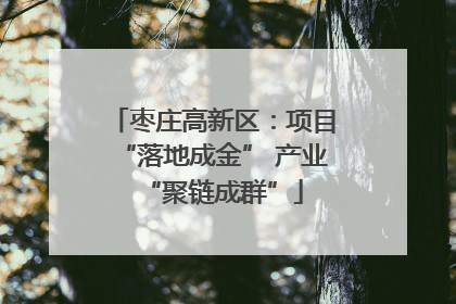 枣庄高新区：项目“落地成金” 产业“聚链成群”